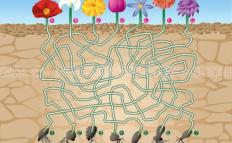 Mksport体育app官网入口